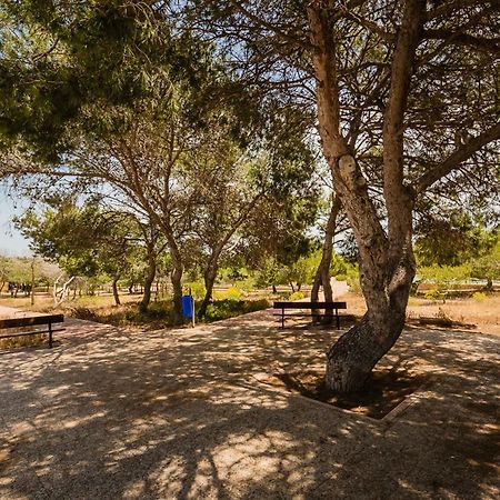 Apartament "Parque Mar" La Mata  Ngoại thất bức ảnh