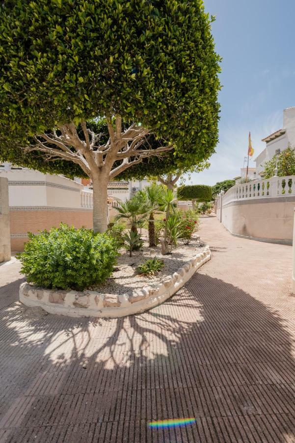 Apartament "Parque Mar" La Mata  Ngoại thất bức ảnh